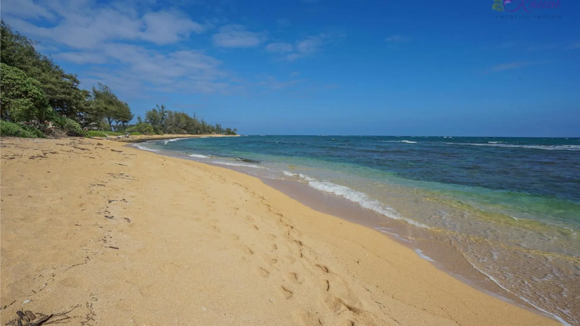 Seaview At The Islander On The Beach Oceanview Studio 201 Kapa'a Stati Uniti